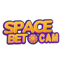 how to solve sudoku puzzle for beginners
